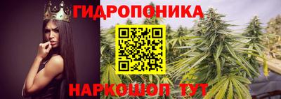 PSILOCYBIN Заводоуковск