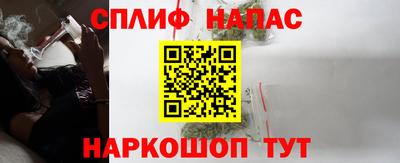 PSILOCYBIN Заводоуковск