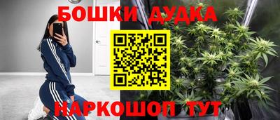 ГАЛЛЮЦИНОГЕННЫЕ ГРИБЫ Заволжье