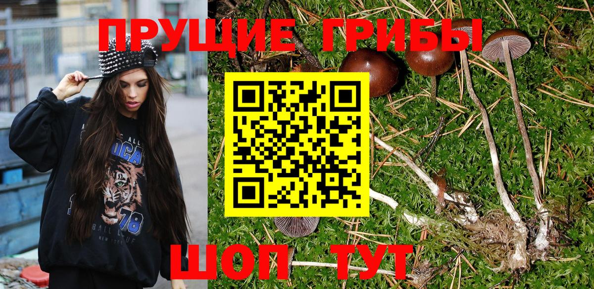 Псилоцибиновые грибы GOLDEN TEACHER Людиново